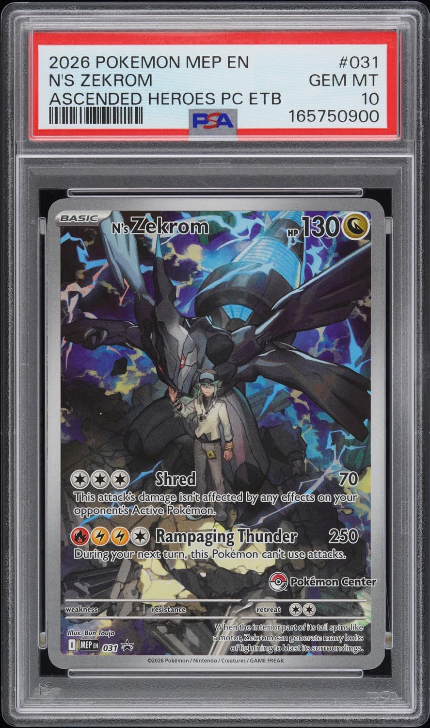 N'S Zekrom