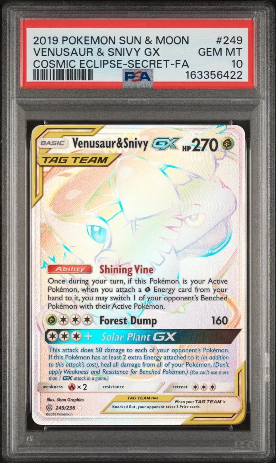 Venusaur & Snivy Gx