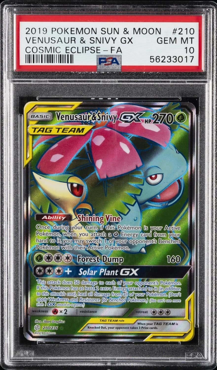 Venusaur & Snivy Gx