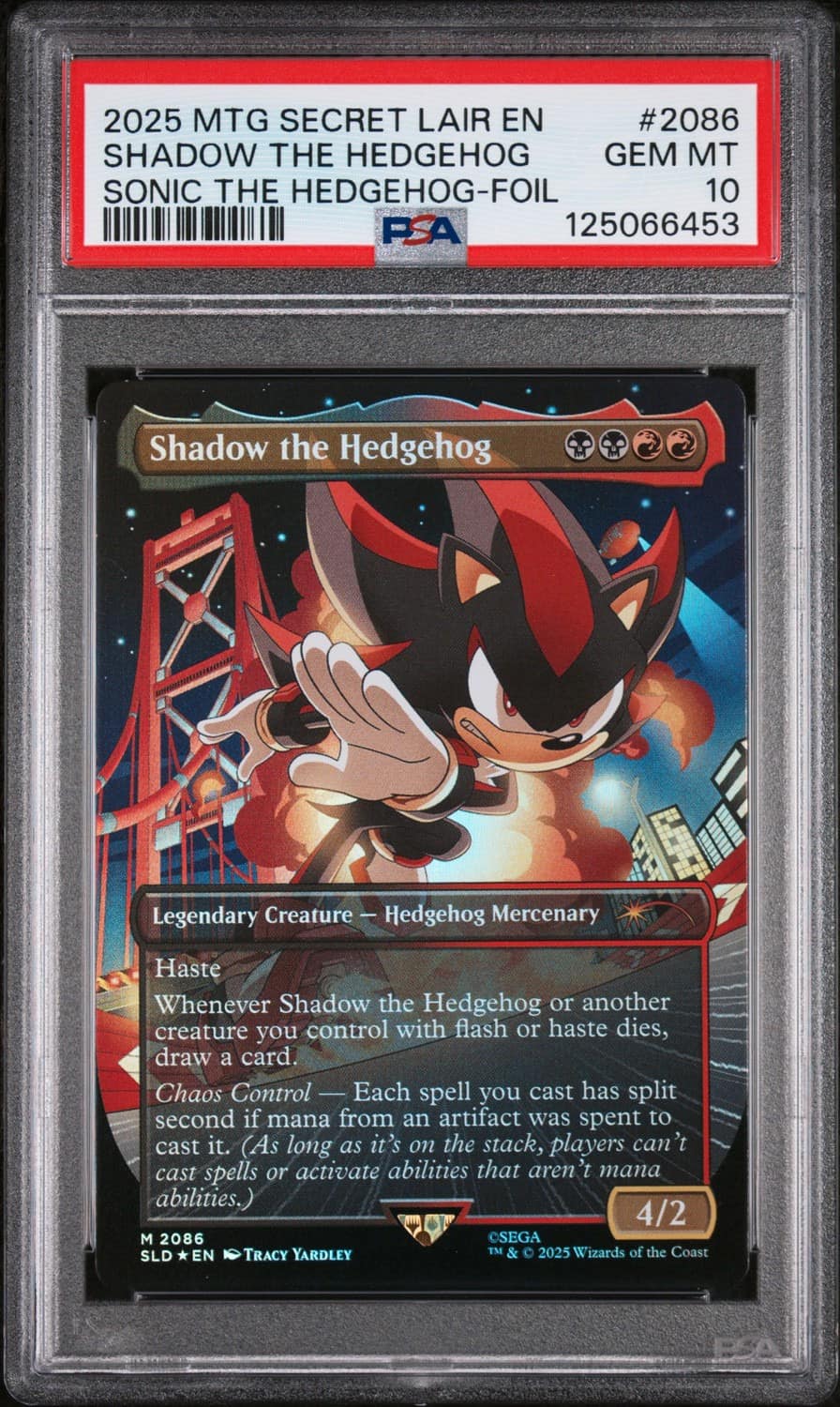 Shadow The Hedgehog