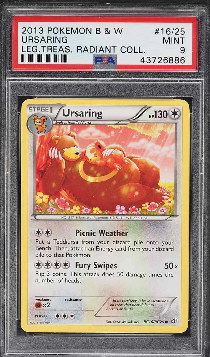 Ursaring