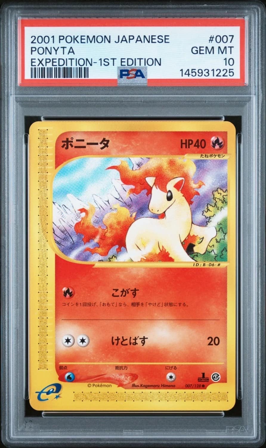 Ponyta