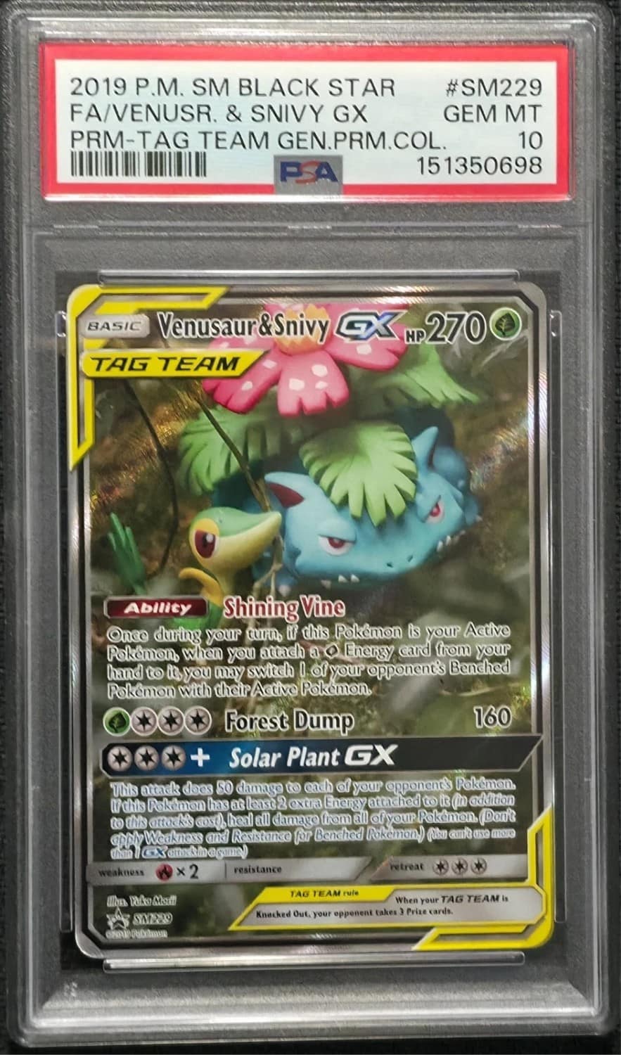 Venusaur & Snivy Gx