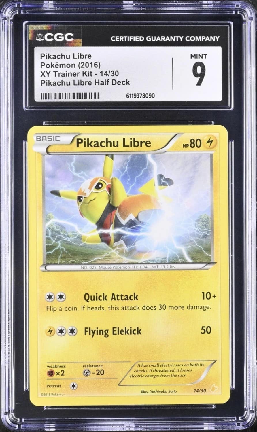 Pikachu Libre