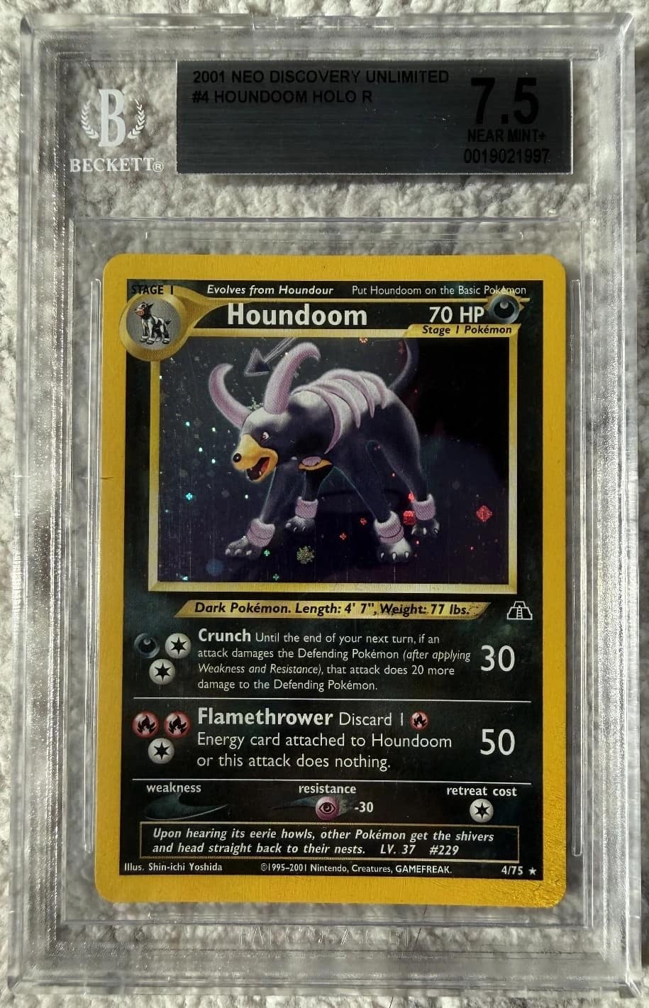 Houndoom
