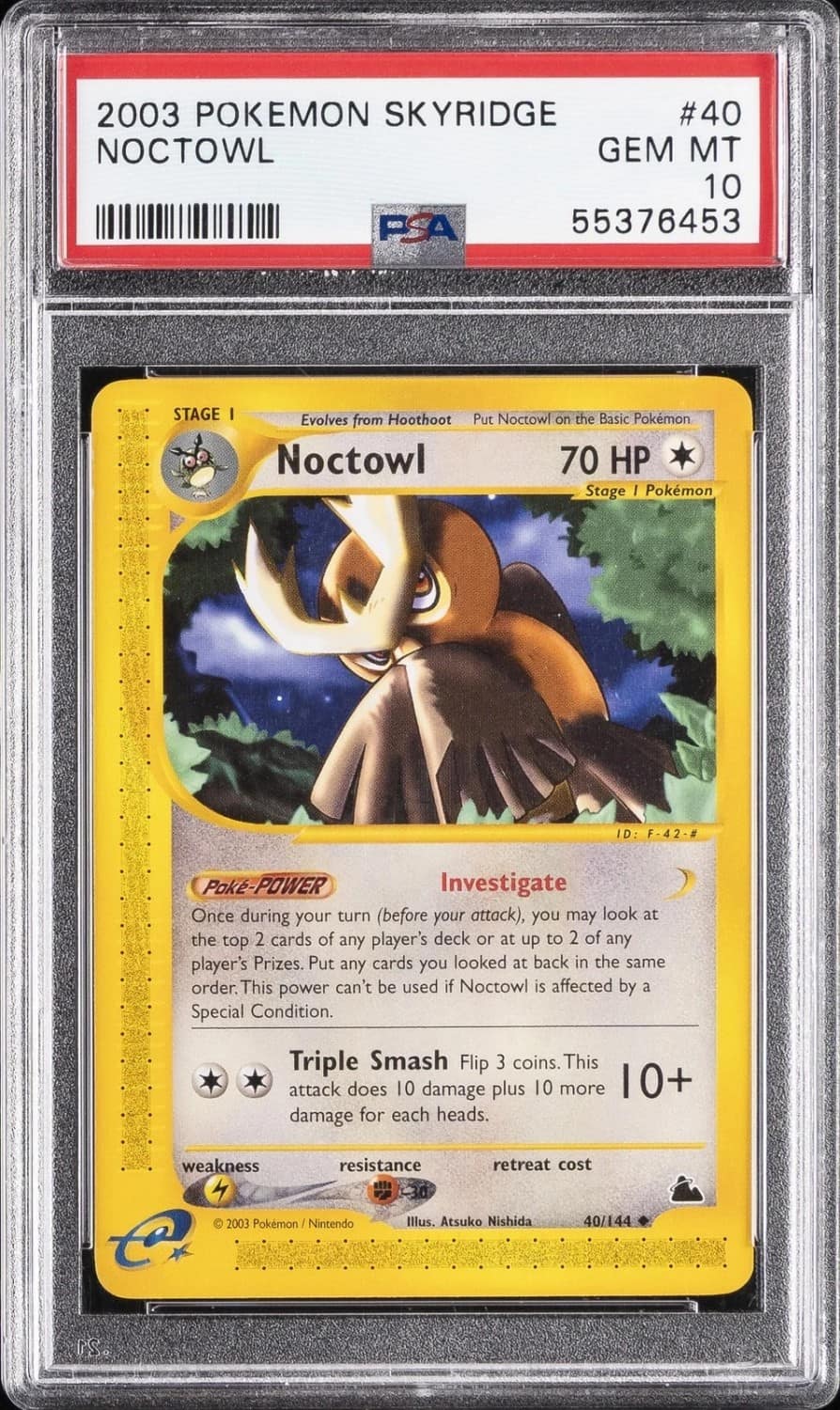 Noctowl
