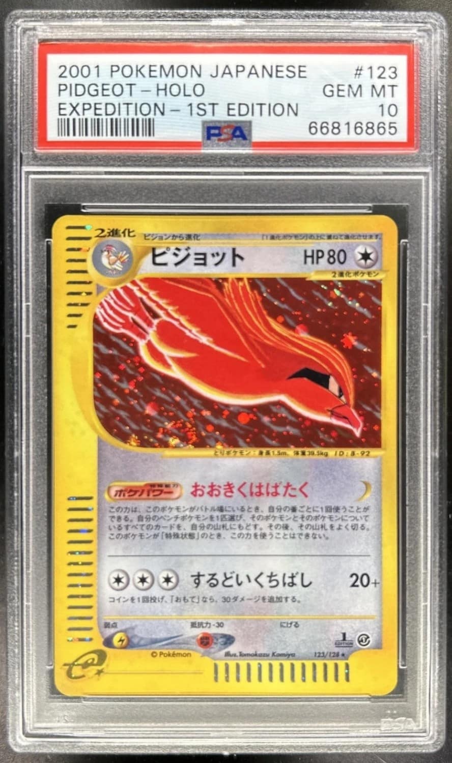 Pidgeot