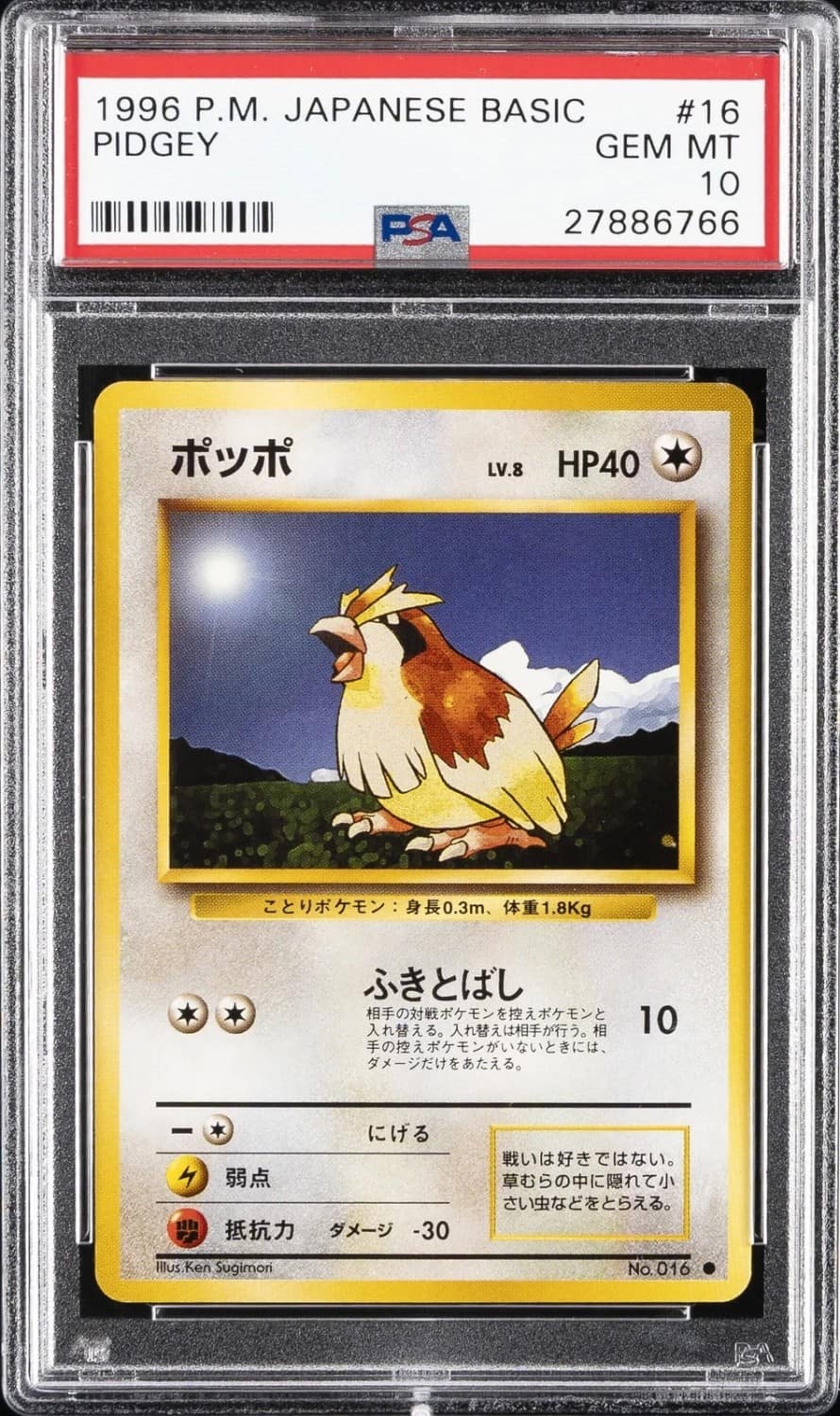 Pidgey