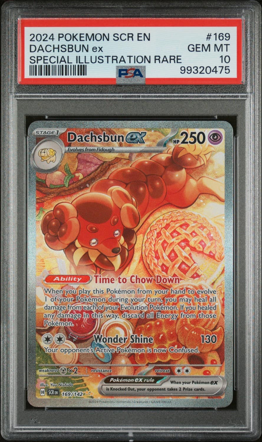 Dachsbun Ex