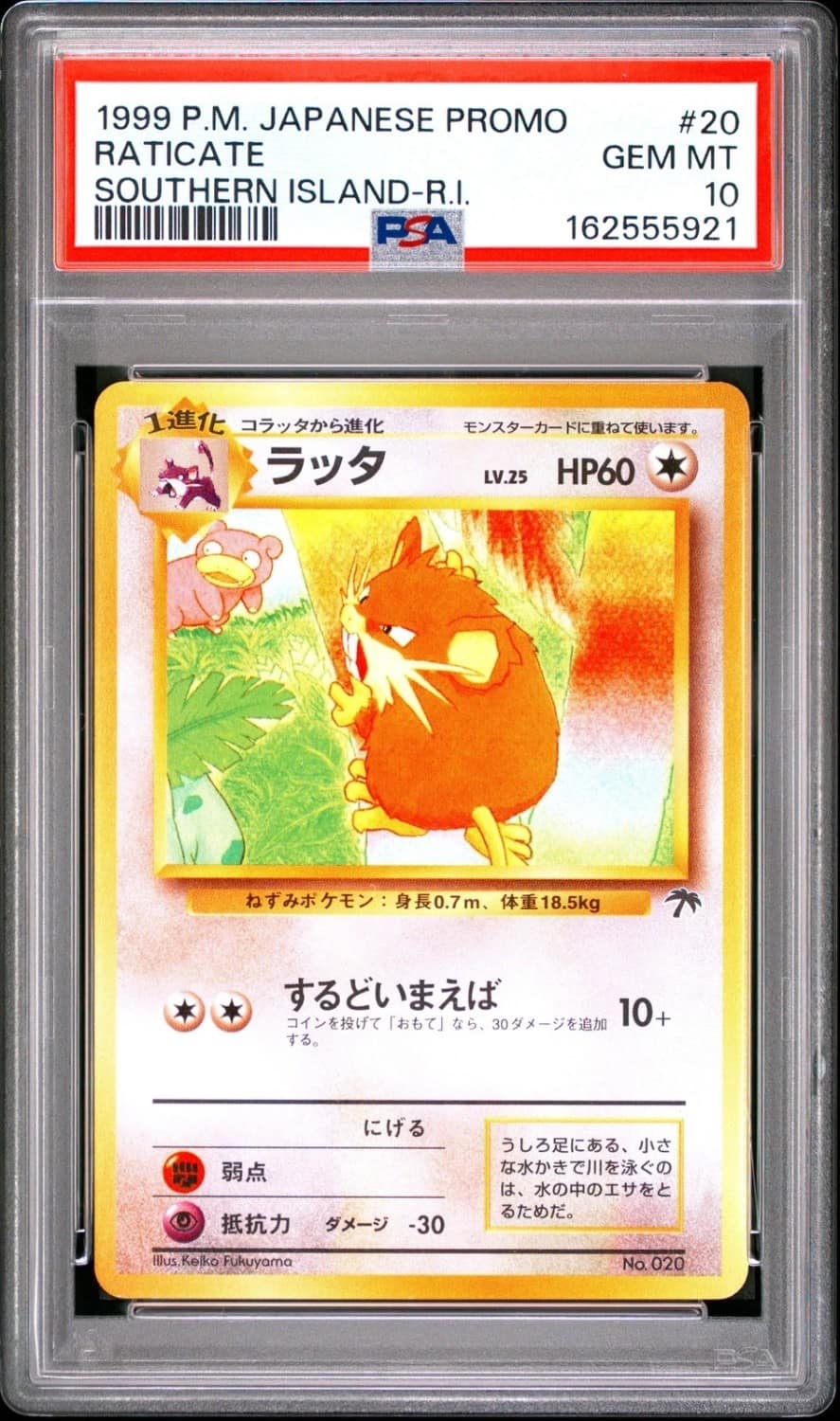Raticate