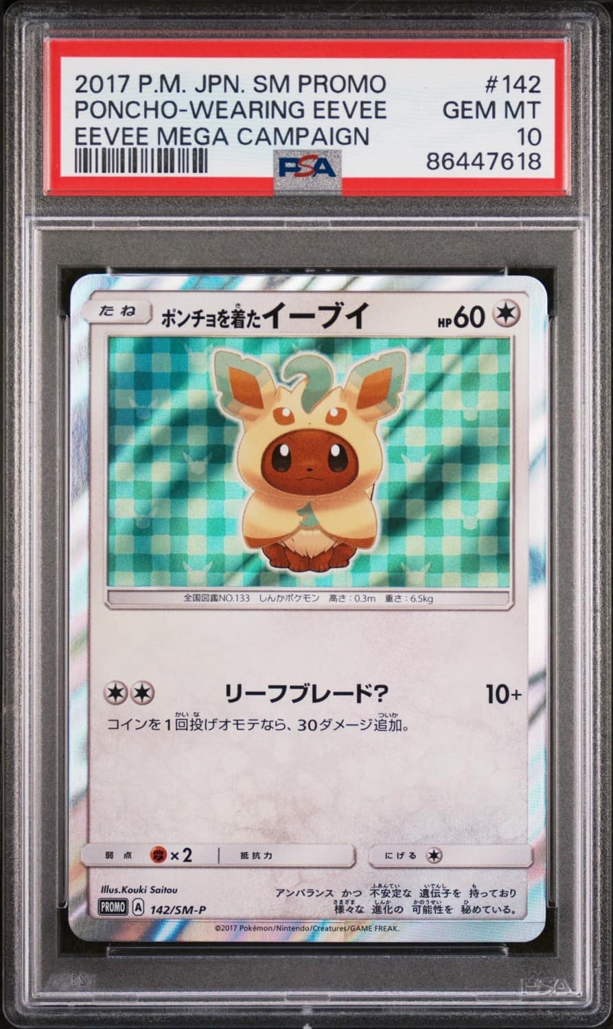 Poncho-Wearing Eevee