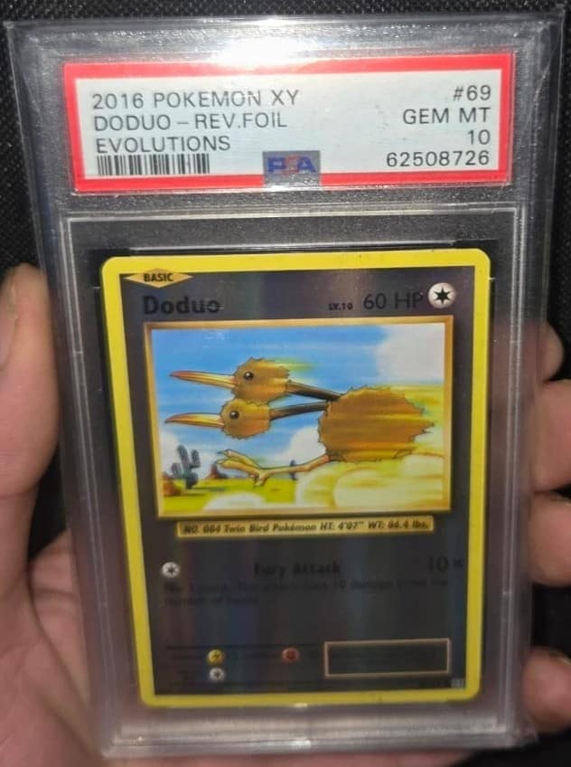 Doduo