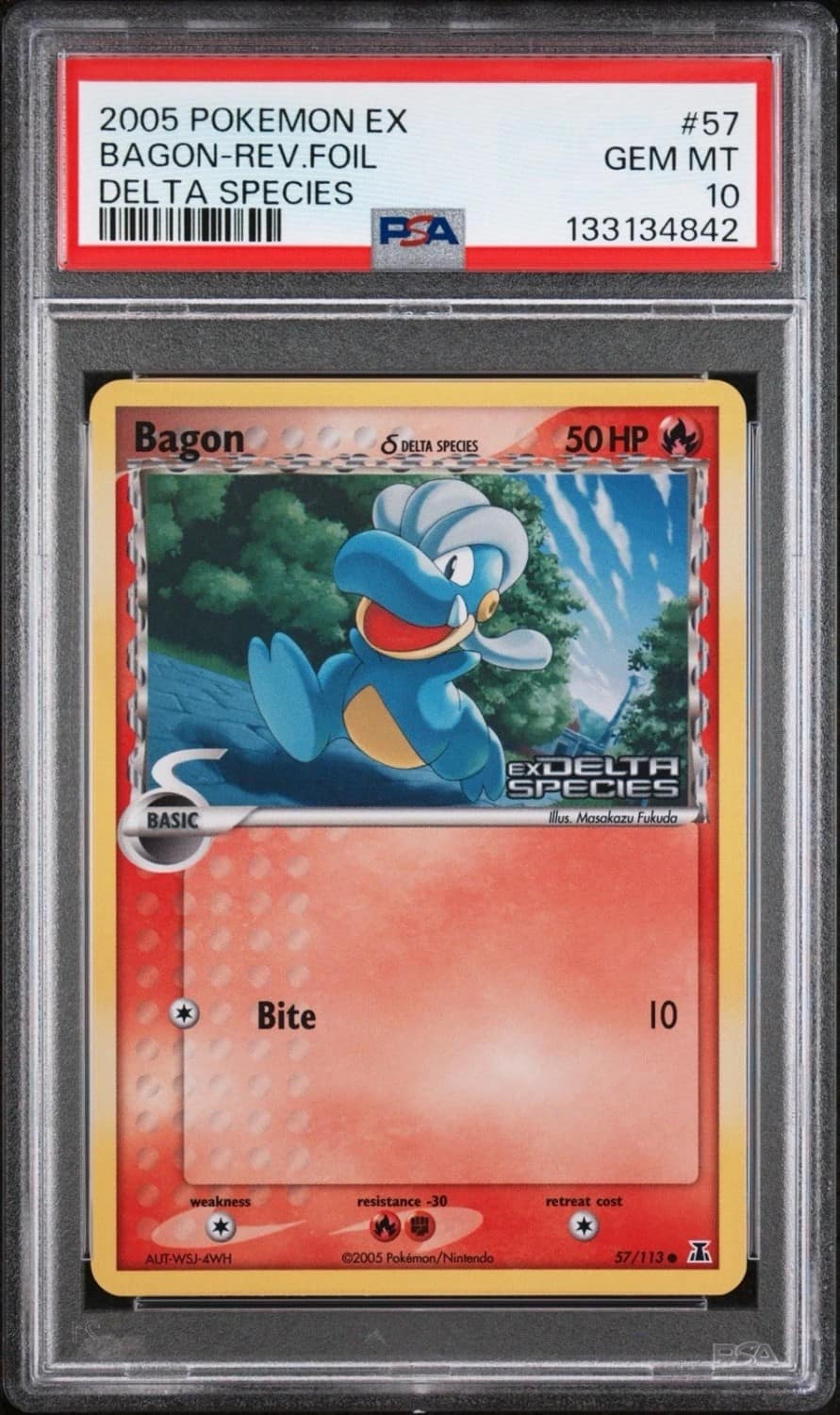 Bagon δ