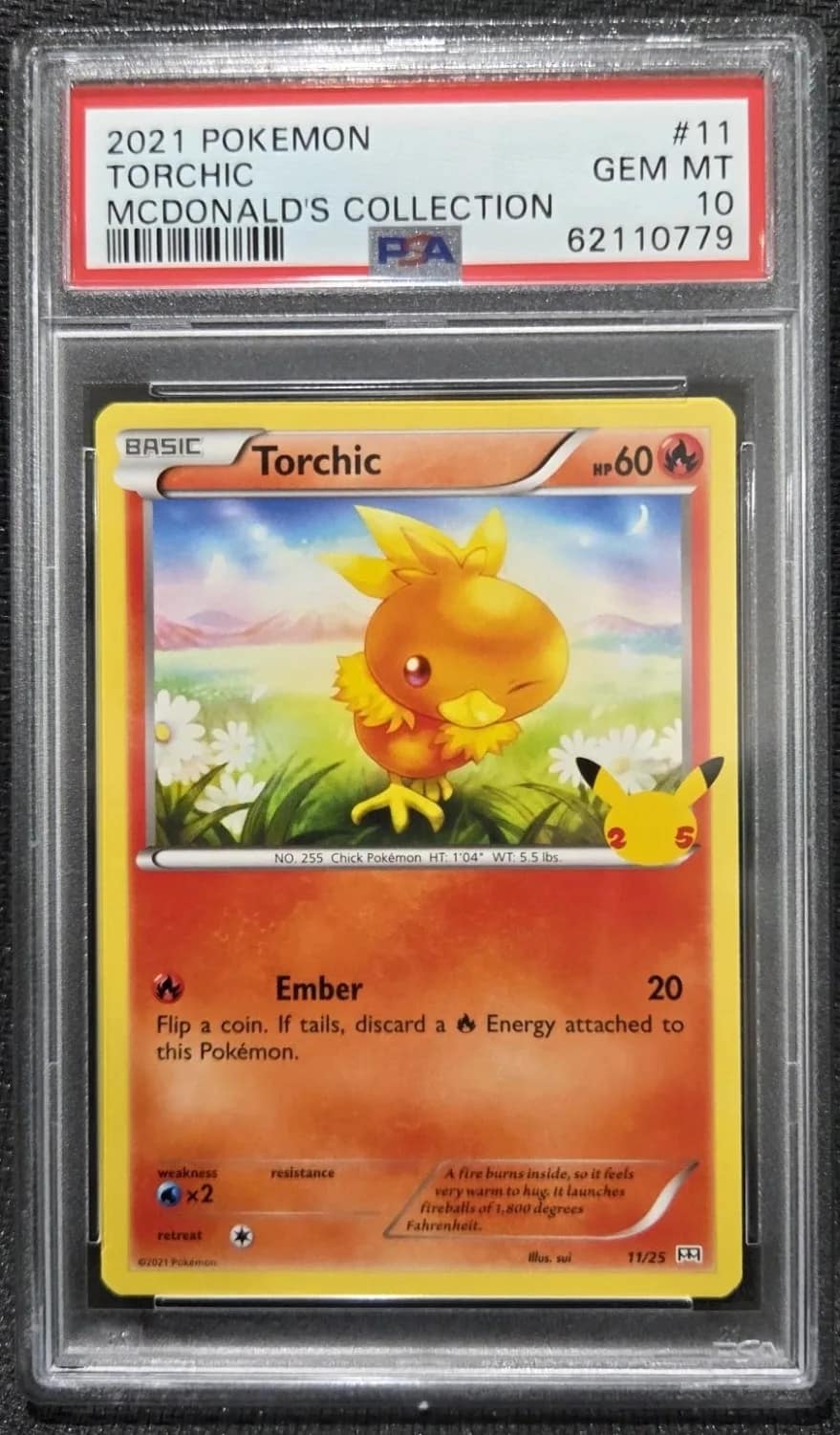 Torchic