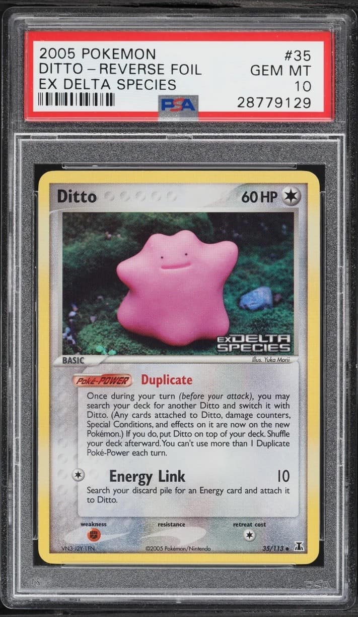 Ditto