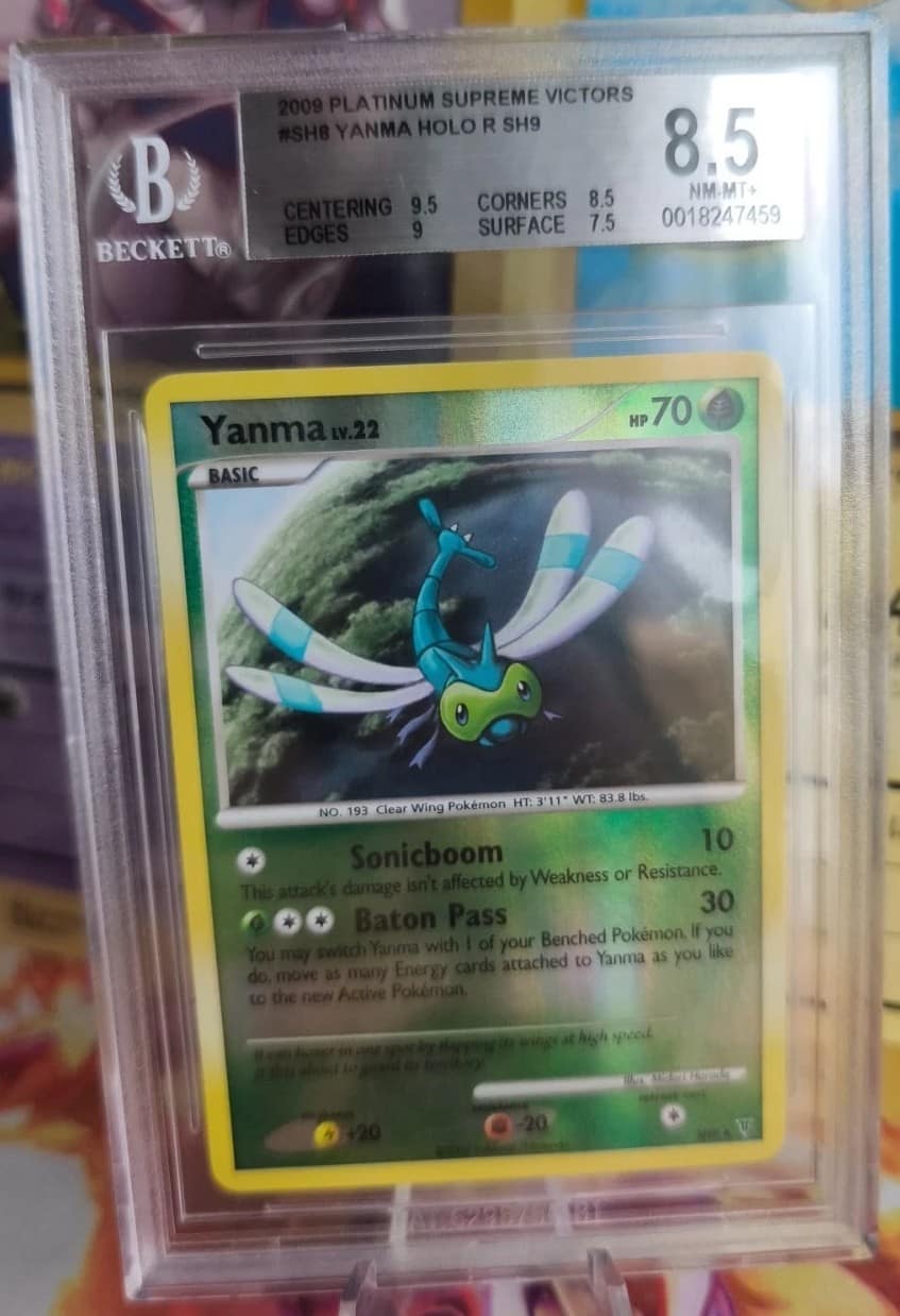 Yanma Holo R