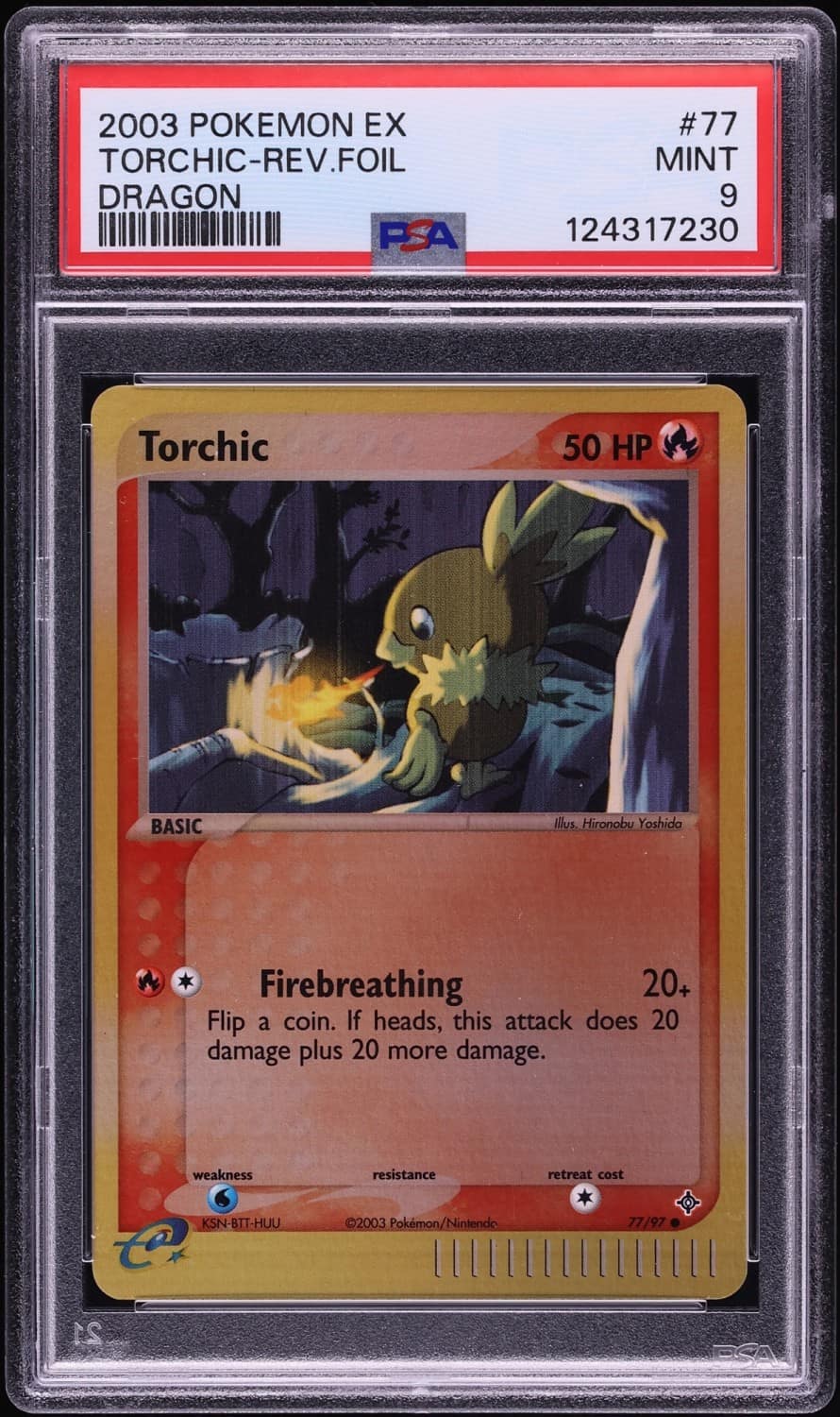 Torchic