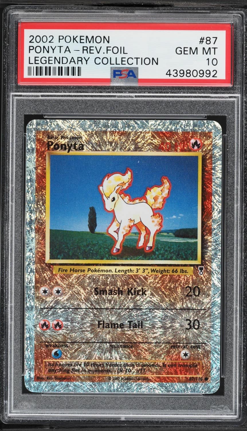 Ponyta