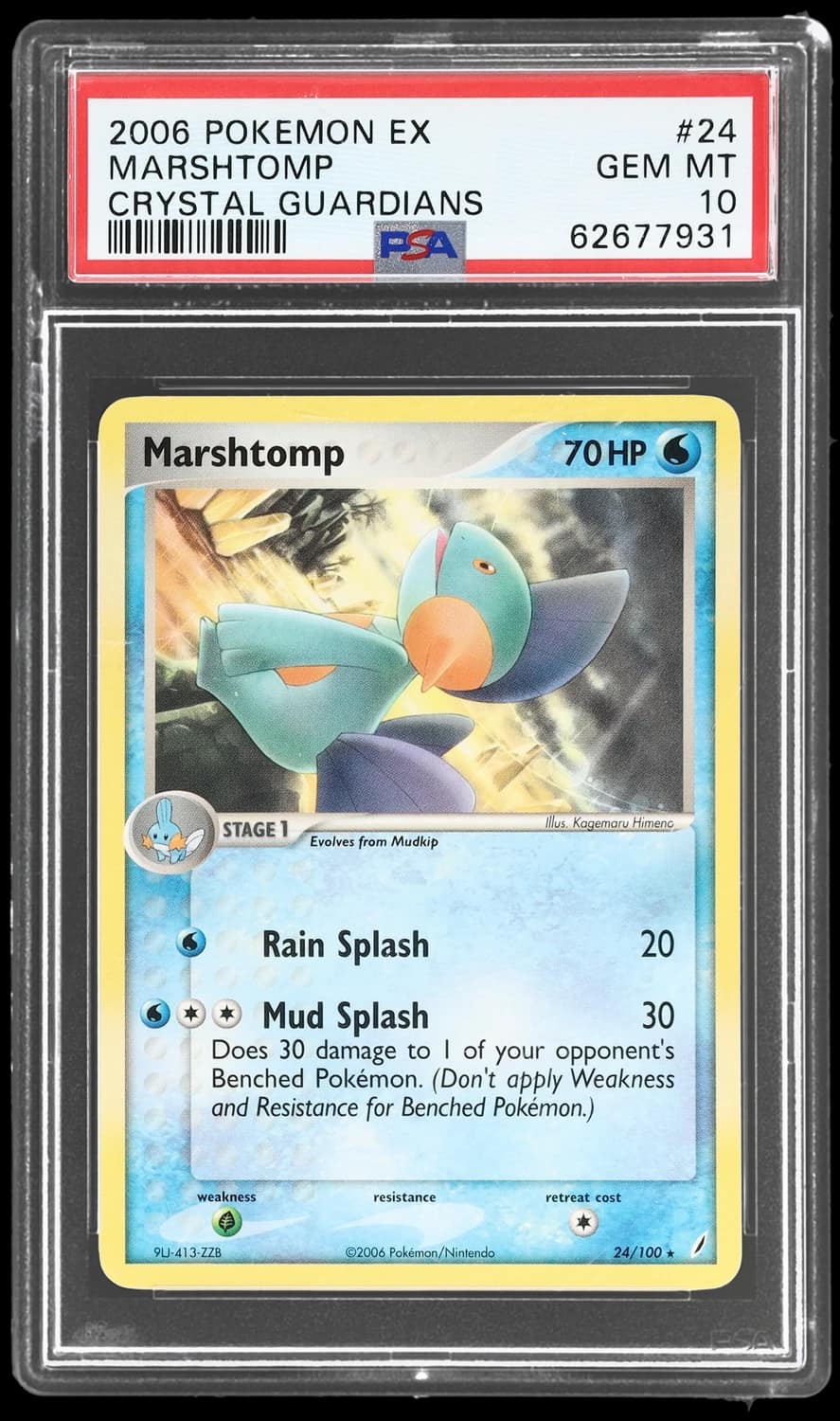 Marshtomp