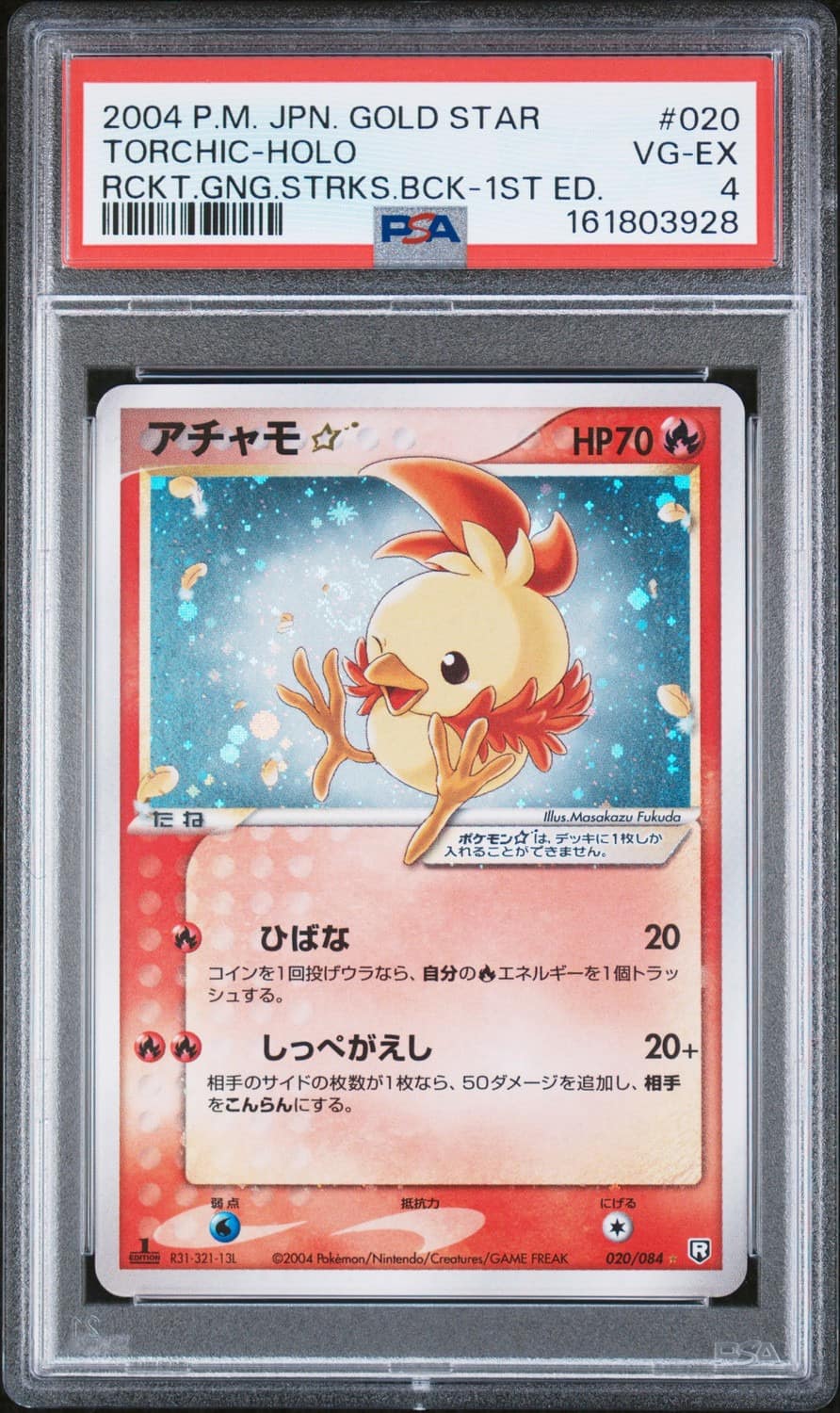 Torchic