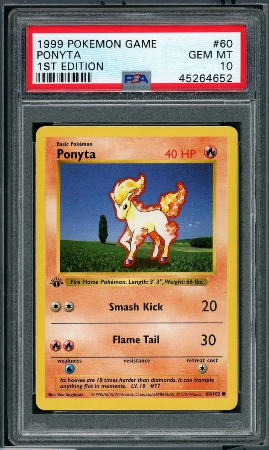 Ponyta