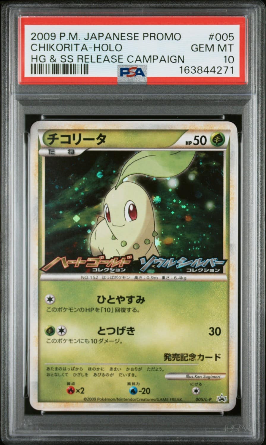 Chikorita