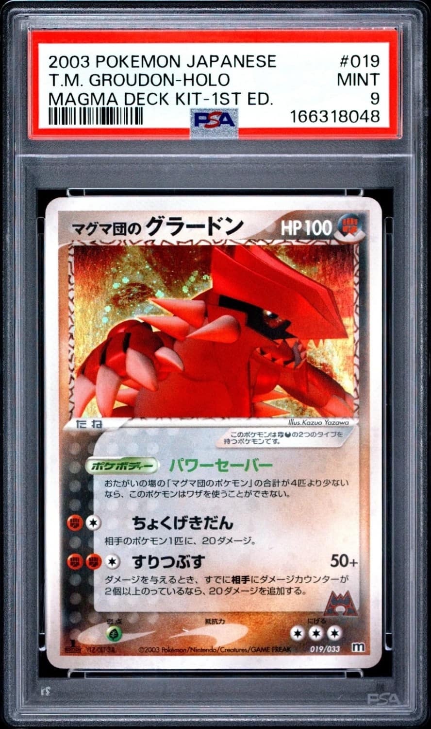 Team Magma'S Groudon