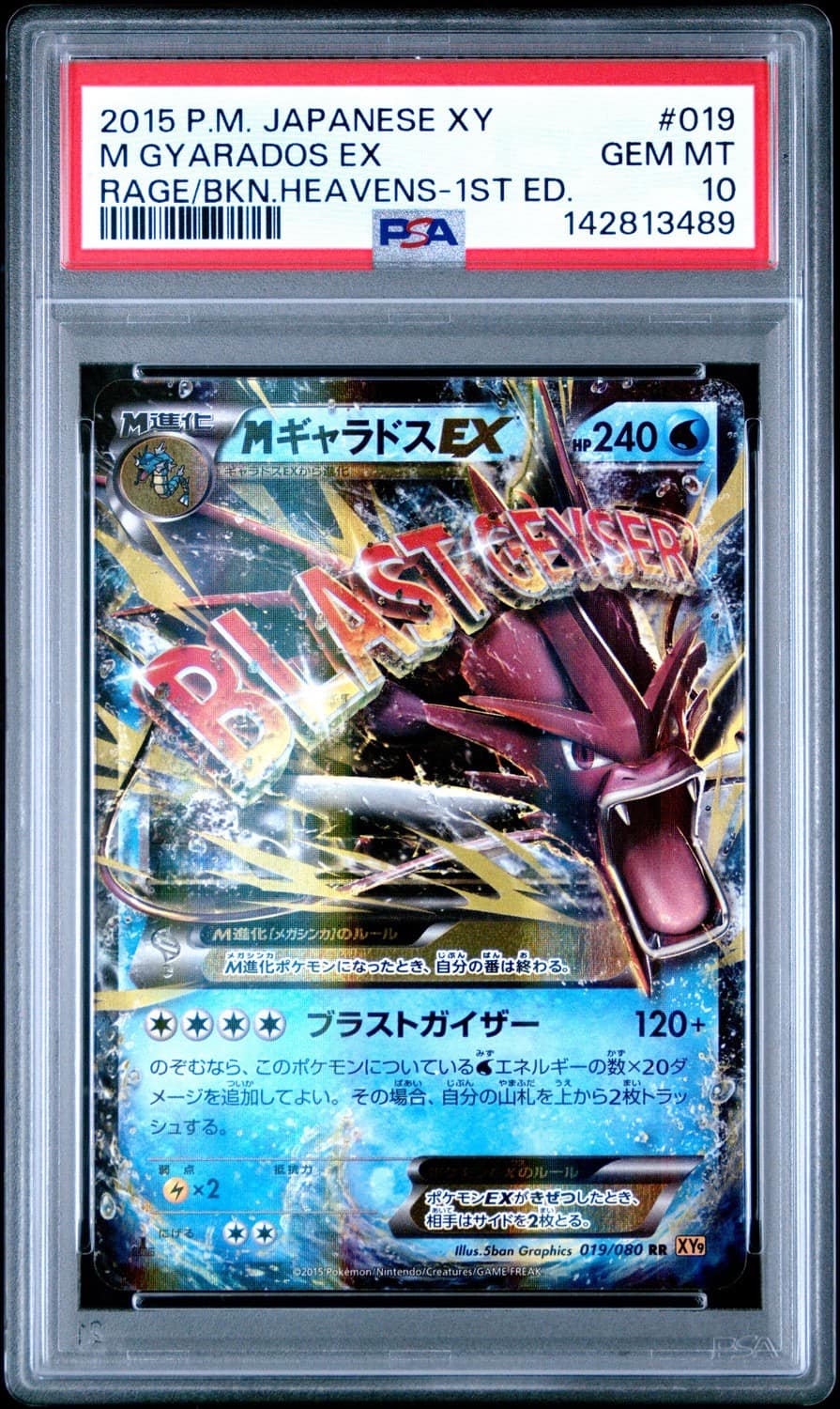 M Gyarados Ex