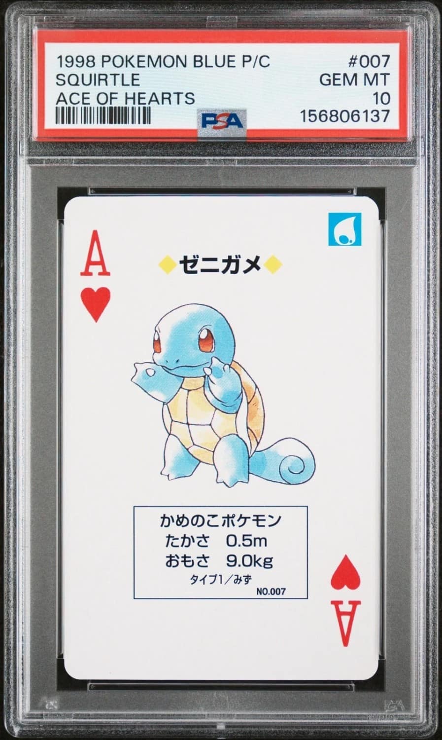 Squirtle