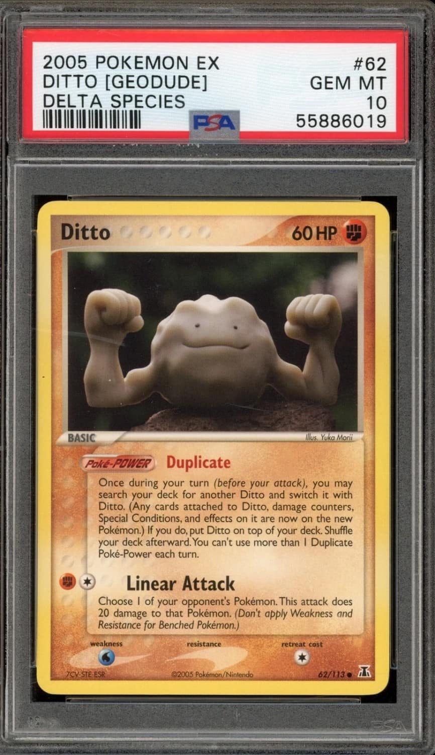 Ditto [geodude]