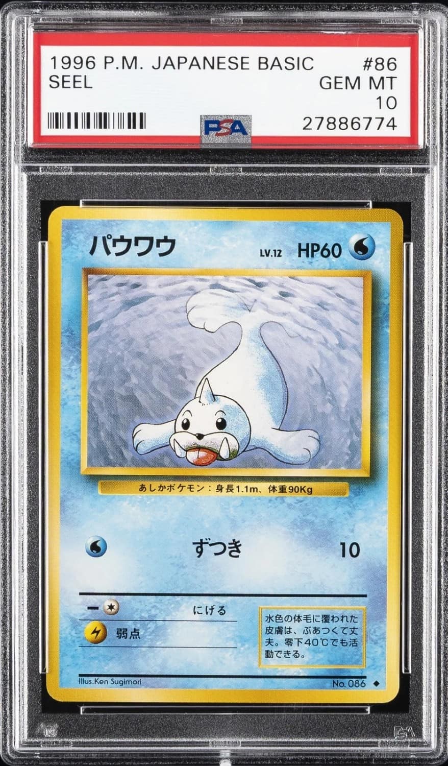 Seel