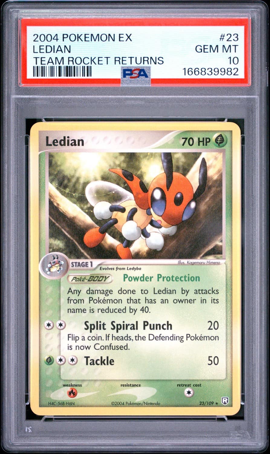 Ledian