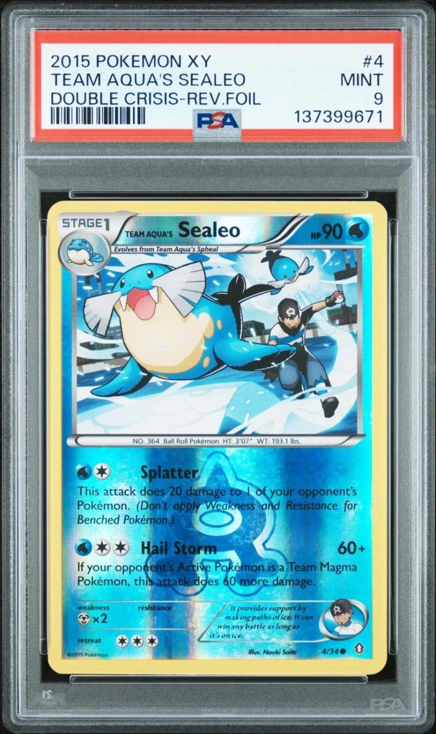 Team Aqua'S Sealeo