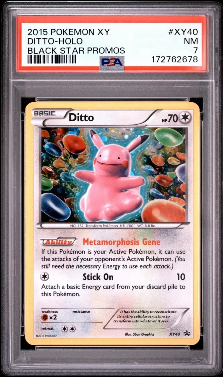 Ditto