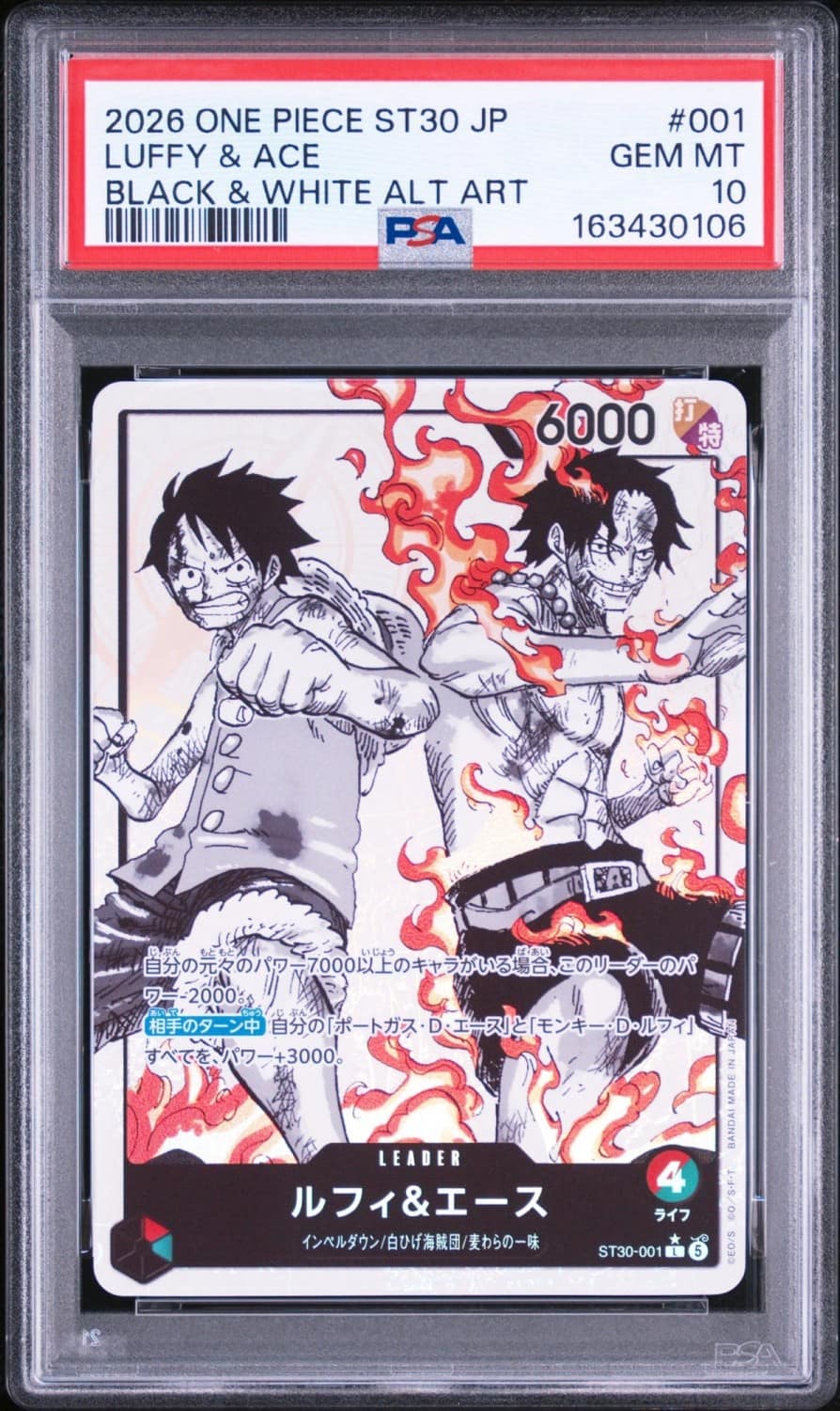 Luffy & Ace