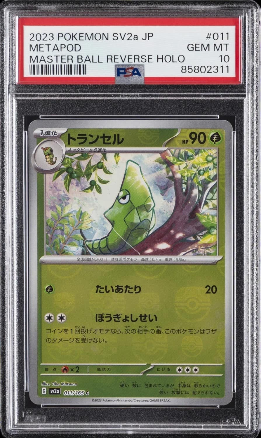 Metapod