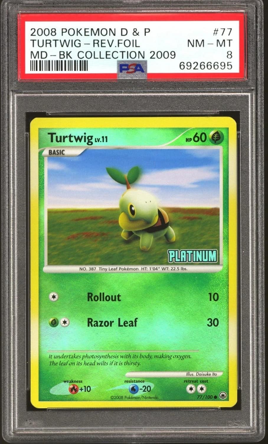 Turtwig