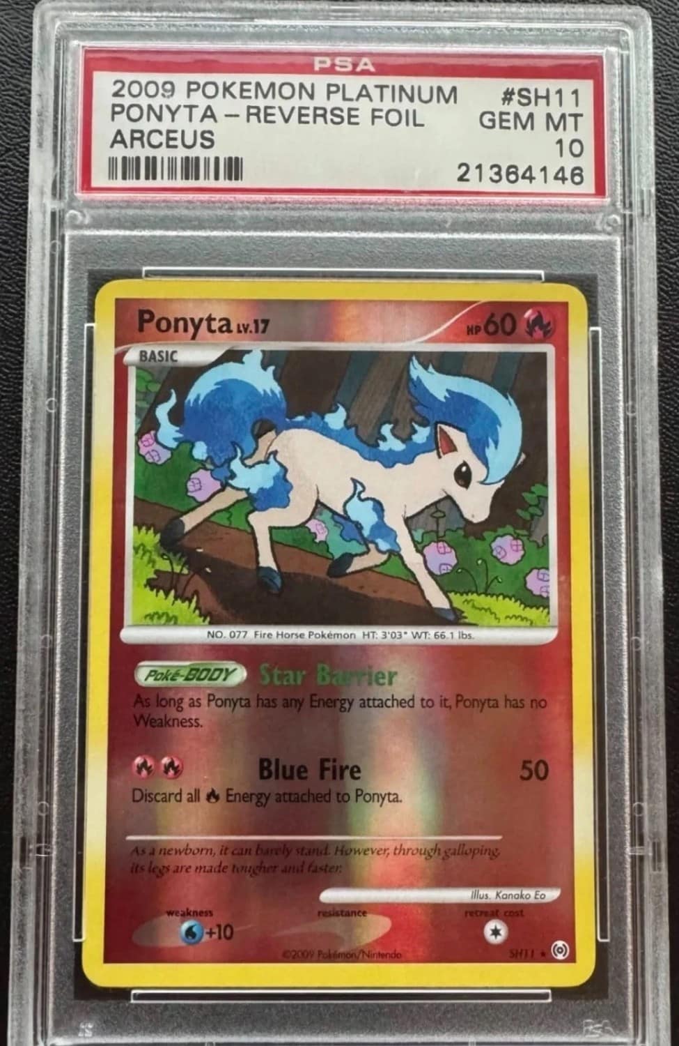 Ponyta