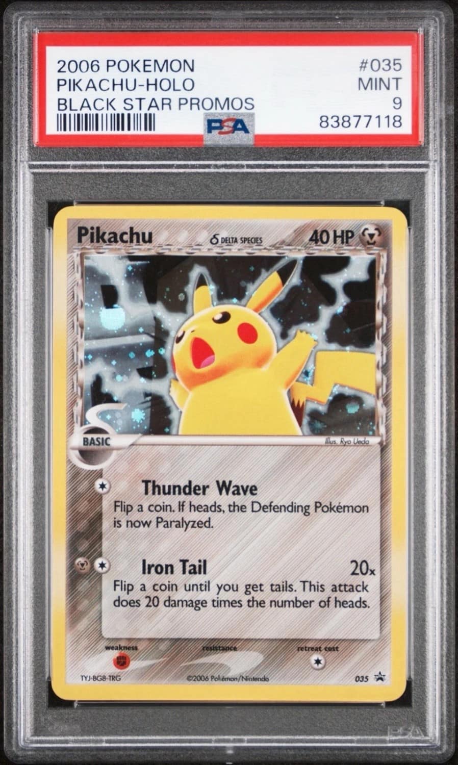 Pikachu D