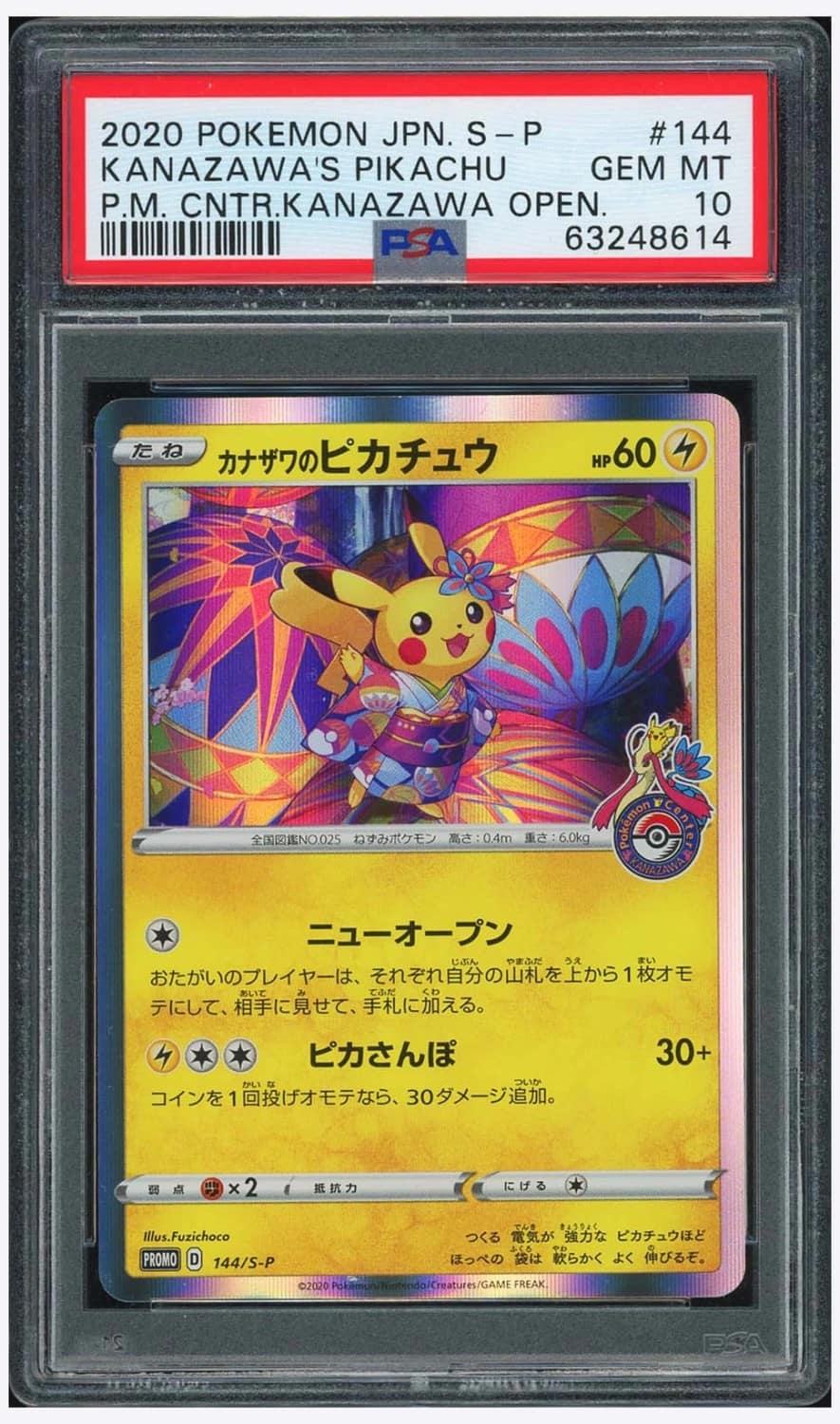 Kanazawa'S Pikachu