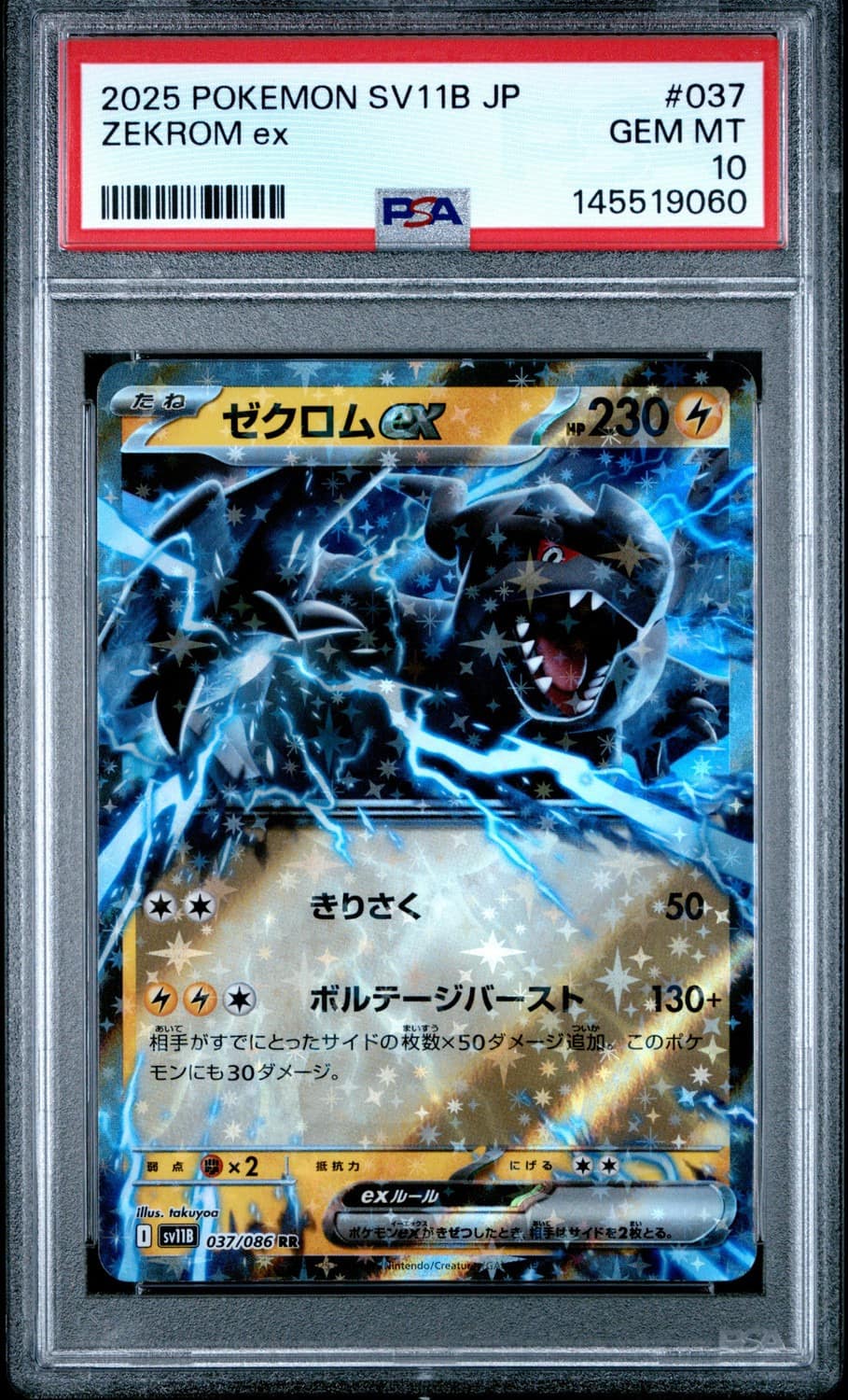 Zekrom Ex