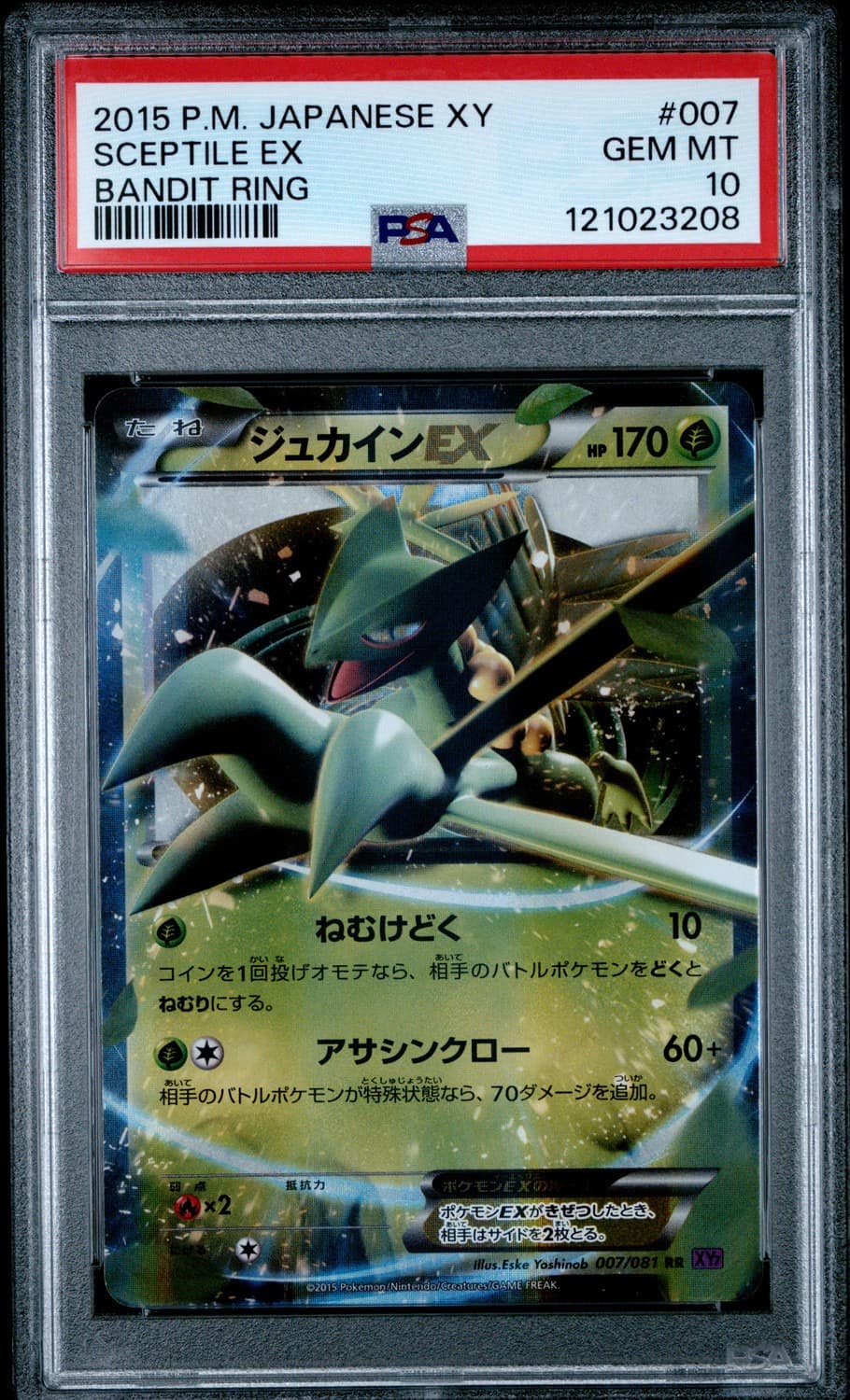 Sceptile Ex