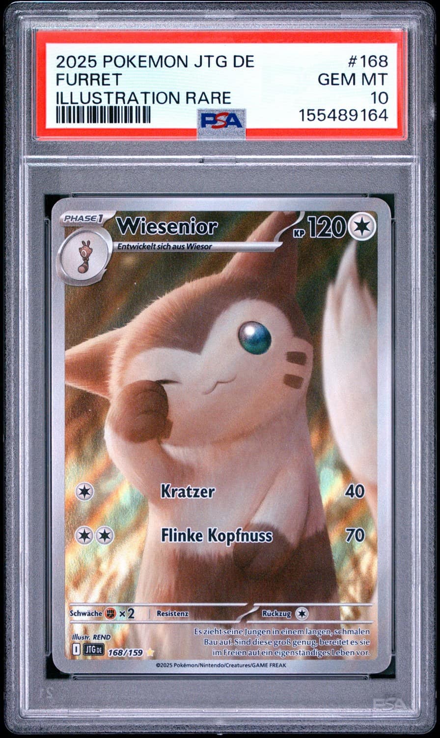 Furret