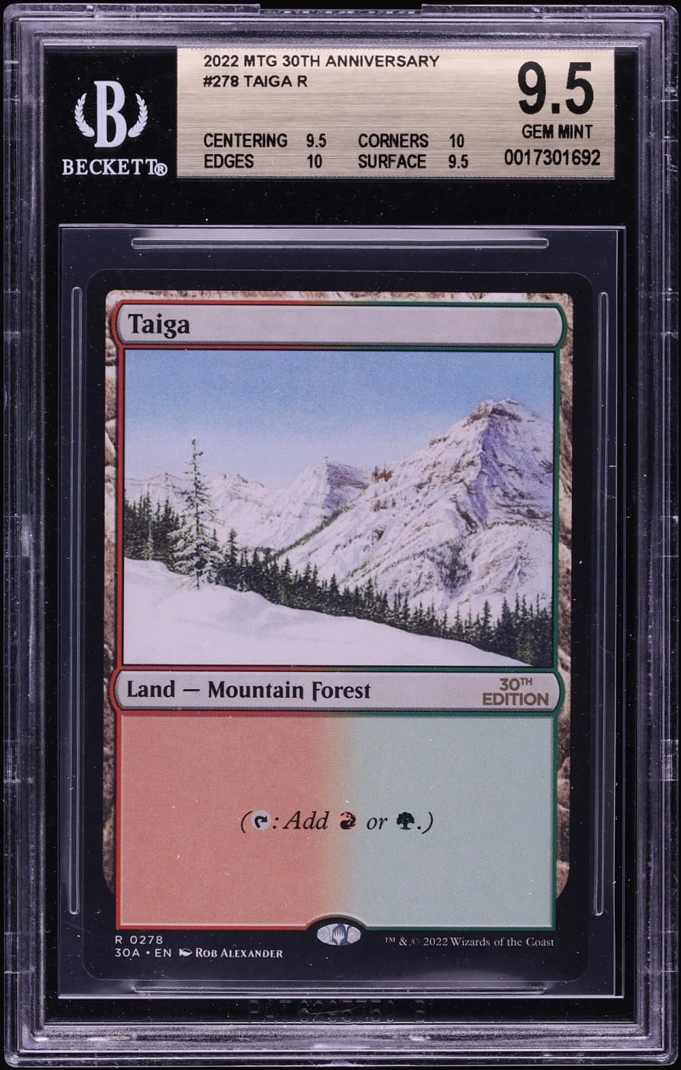 Taiga