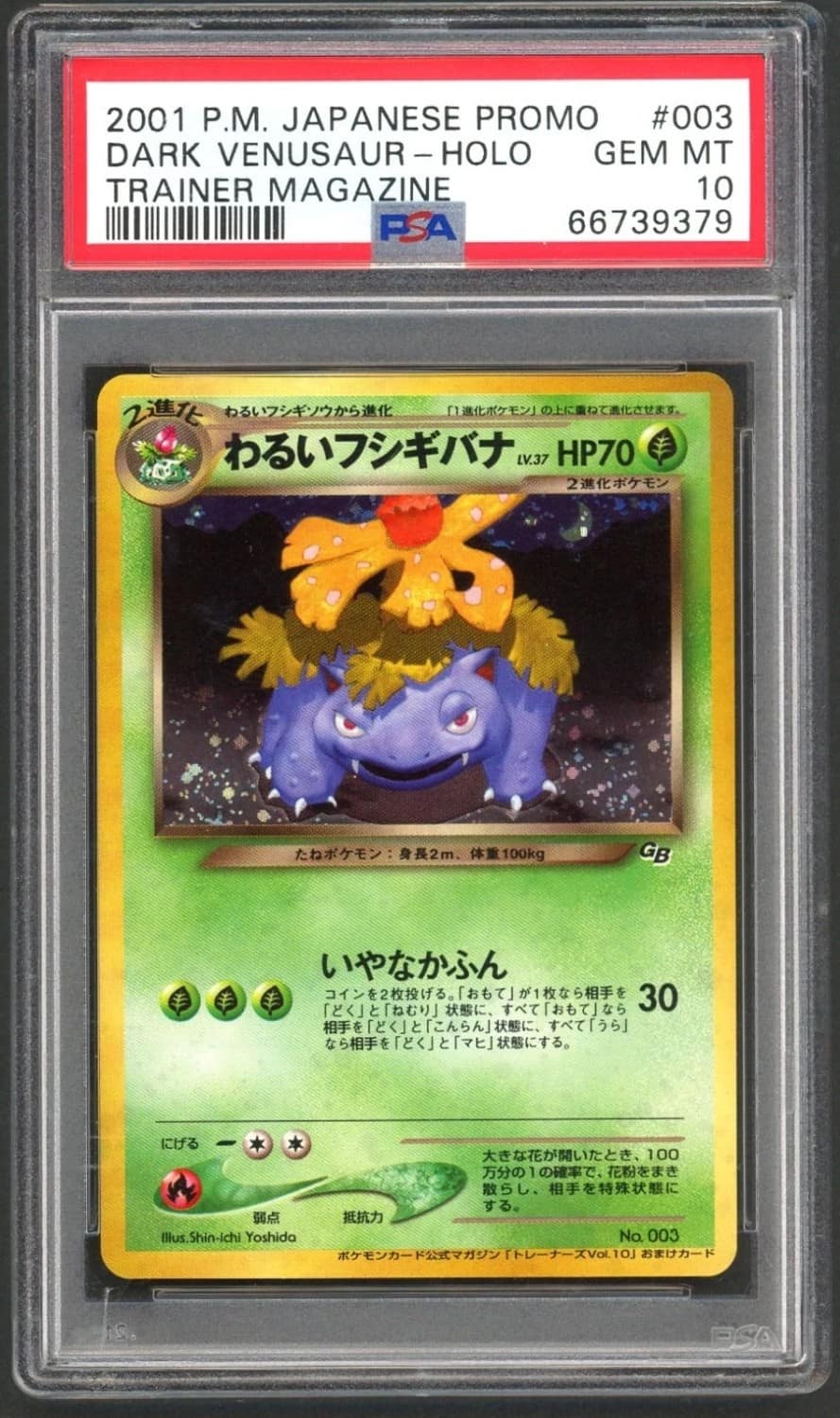 Dark Venusaur