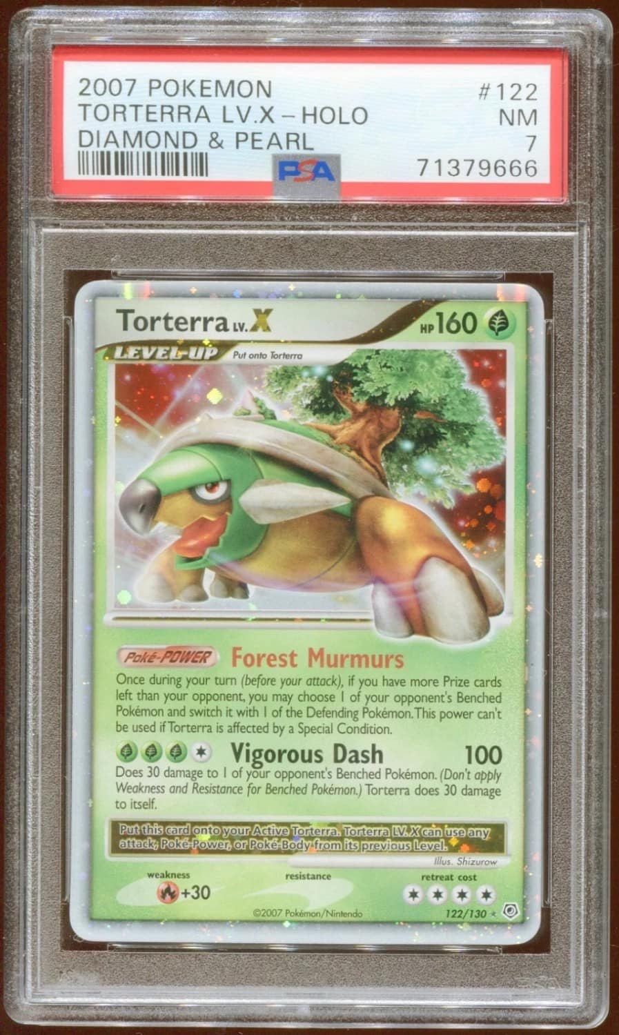 Torterra Lv X