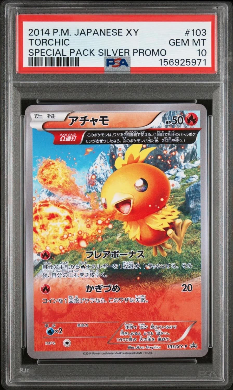 Torchic