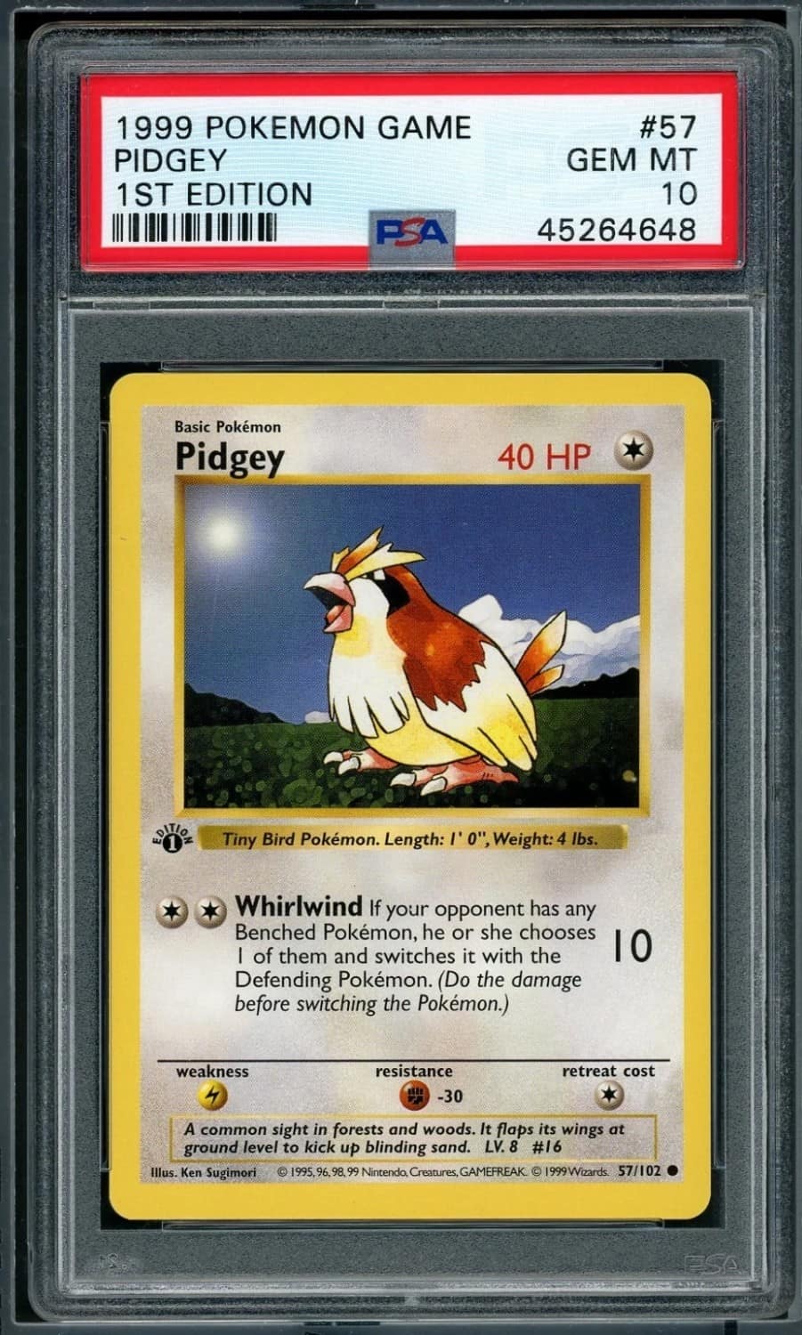 Pidgey