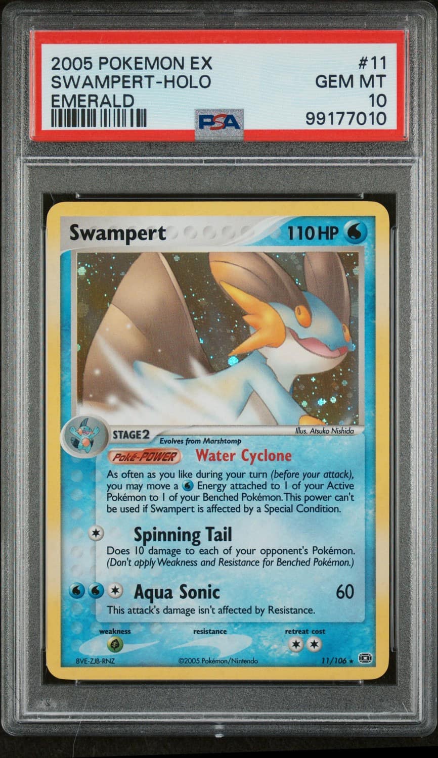 Swampert