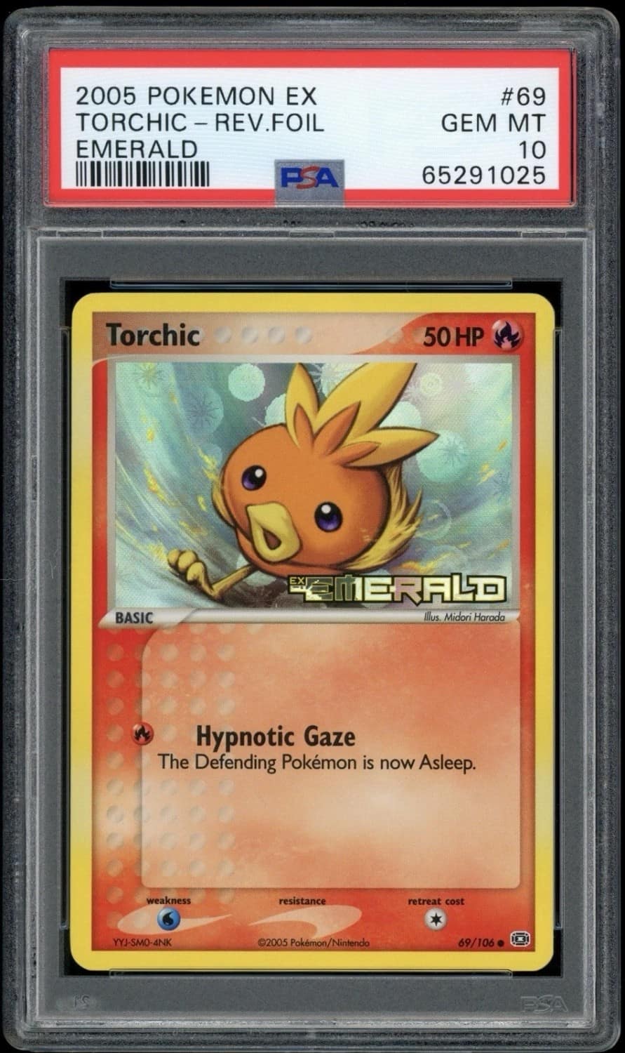 Torchic